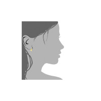 Paar 585er Gold Klappbrisur Ohrringe Herz Ohrhänger Kinder Mädchen Damen Etui
