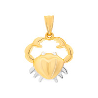 585er Gelbgold Anhänger Sternzeichen 14K 4
